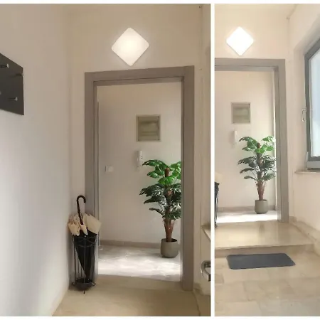 Pineta With Terrace & Park Wood View Appartamento *