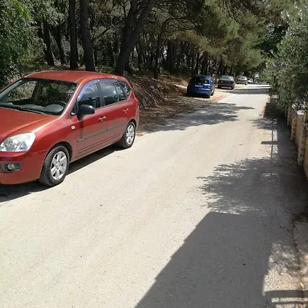 Pineta With Terrace & Park Wood View Apartment