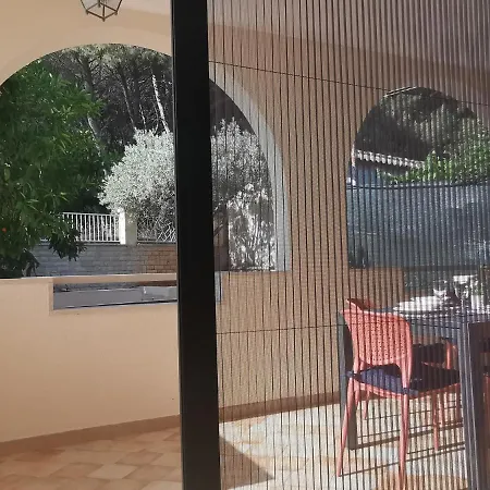 Pineta With Terrace & Park Wood View Apartment